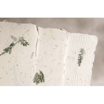 Papier czerpany - Kalander - asparagus, gładki, A4