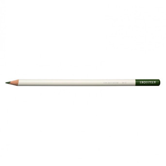 Color pencil Irojiten - Tombow - D17, Cactus Green