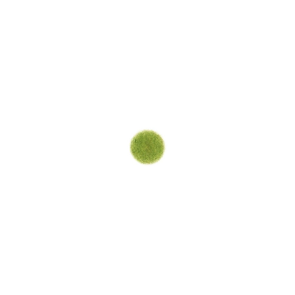 Color pencil Irojiten - Tombow - D6, Elm Green
