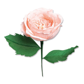 Thinlits cutting dies set - Sizzix - Garden Rose, 7 pcs.