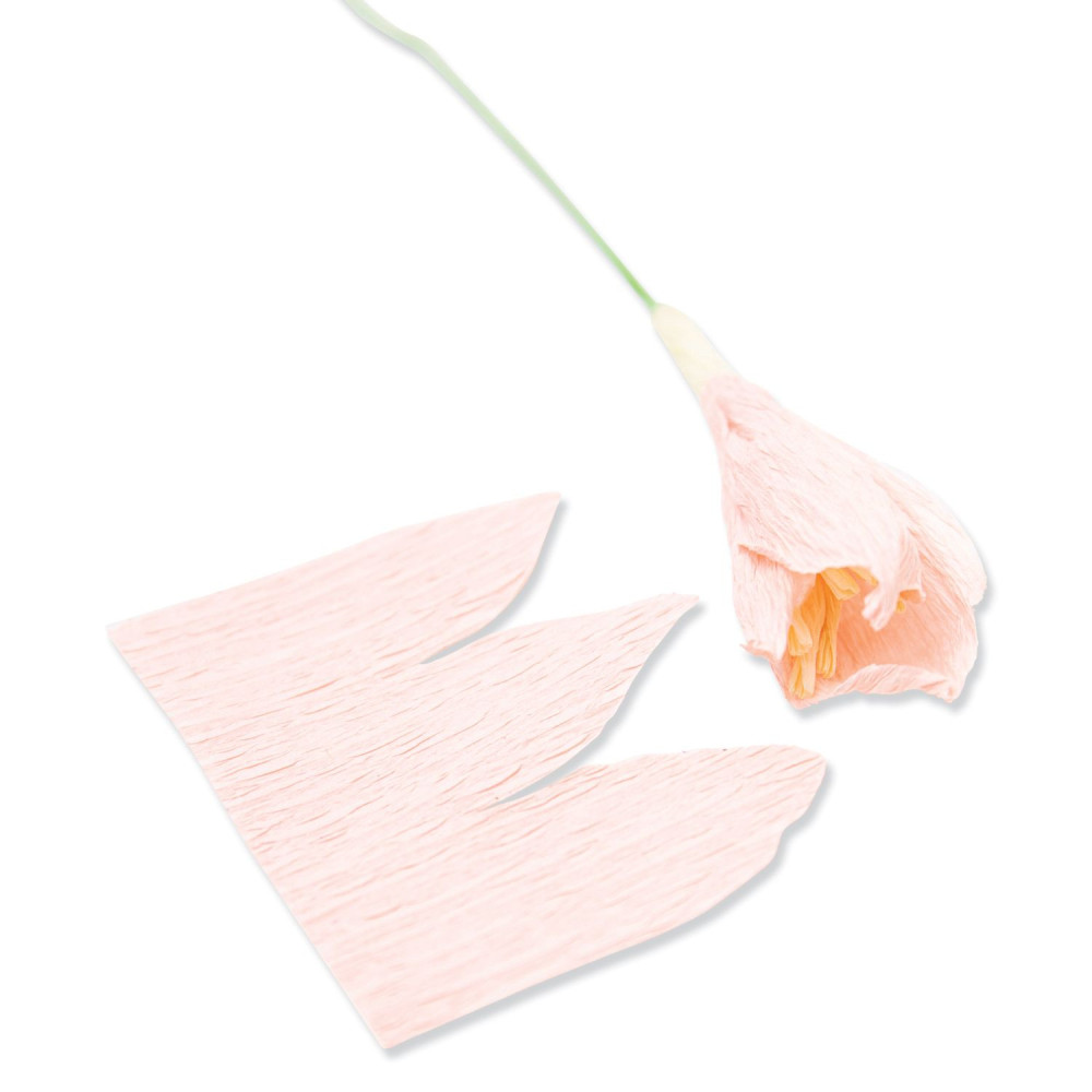 Zestaw wykrojników Thinlits - Sizzix - Garden Rose, 7 szt.