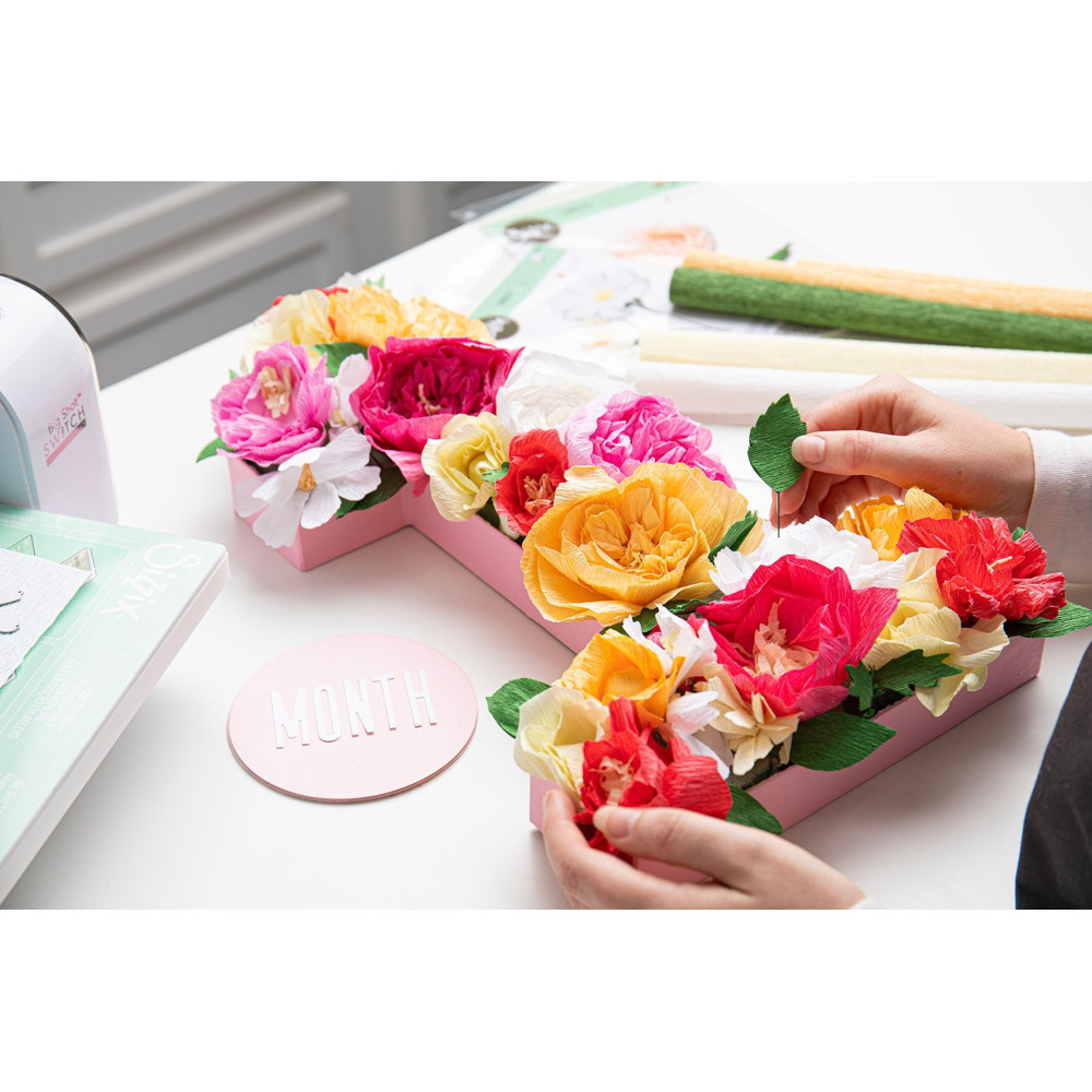 Thinlits cutting dies set - Sizzix - Garden Rose, 7 pcs.