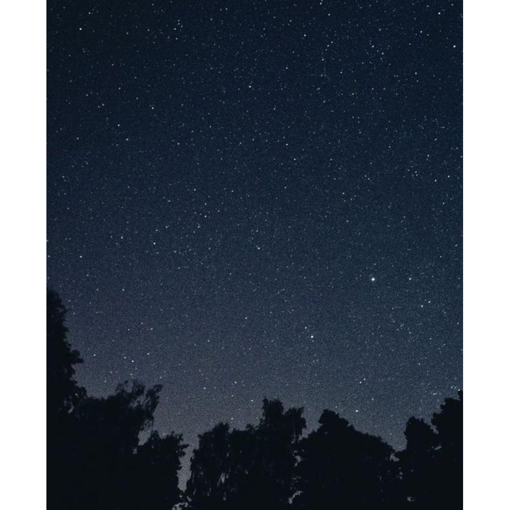 Photo album Natural Affair Medium - Semikolon - Midnight Light