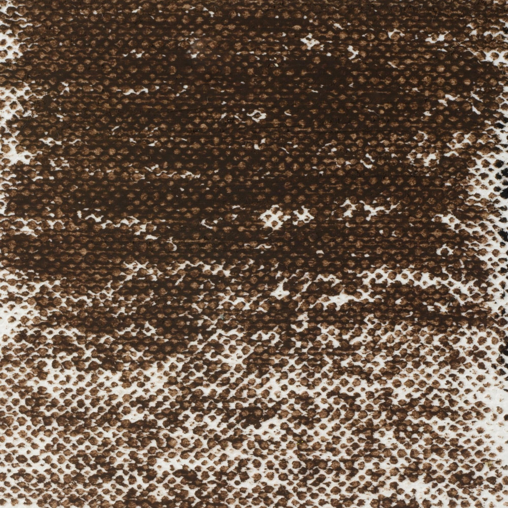 Oil pastels - Van Gogh - 416.5, Sepia