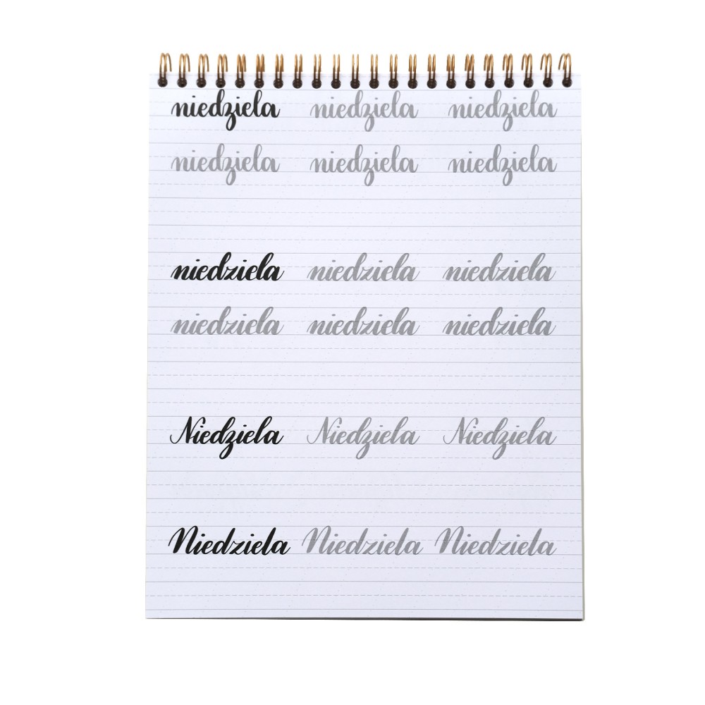 Zeszyt z ćwiczeniami do brush letteringu, B5 - Devangari - podstawowy, 170 g/m2
