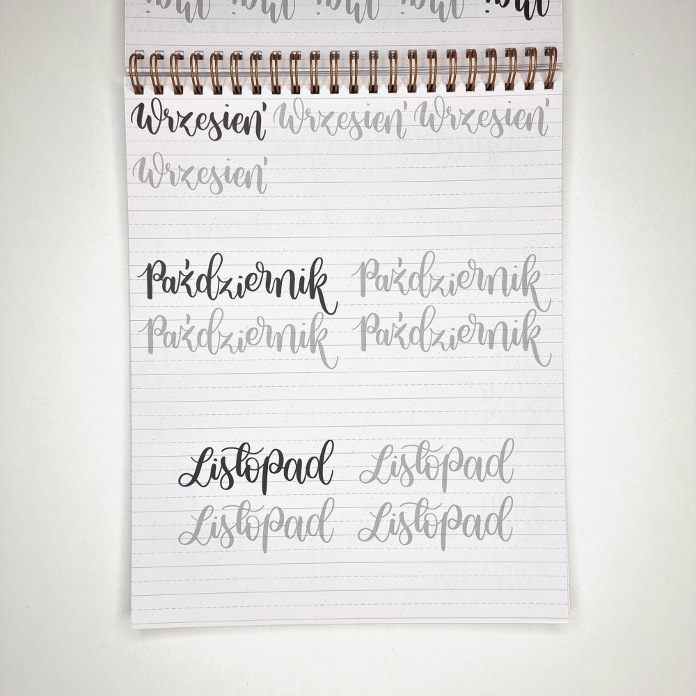 Zeszyt z ćwiczeniami do brush letteringu Bounce, B5 - Devangari - 170 g/m2