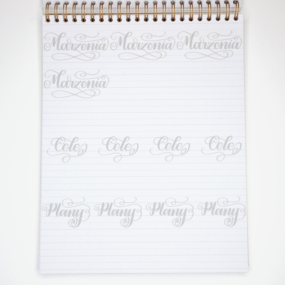 Zeszyt z ćwiczeniami do brush letteringu Flourishing, B5 - Devangari - 170 g/m2