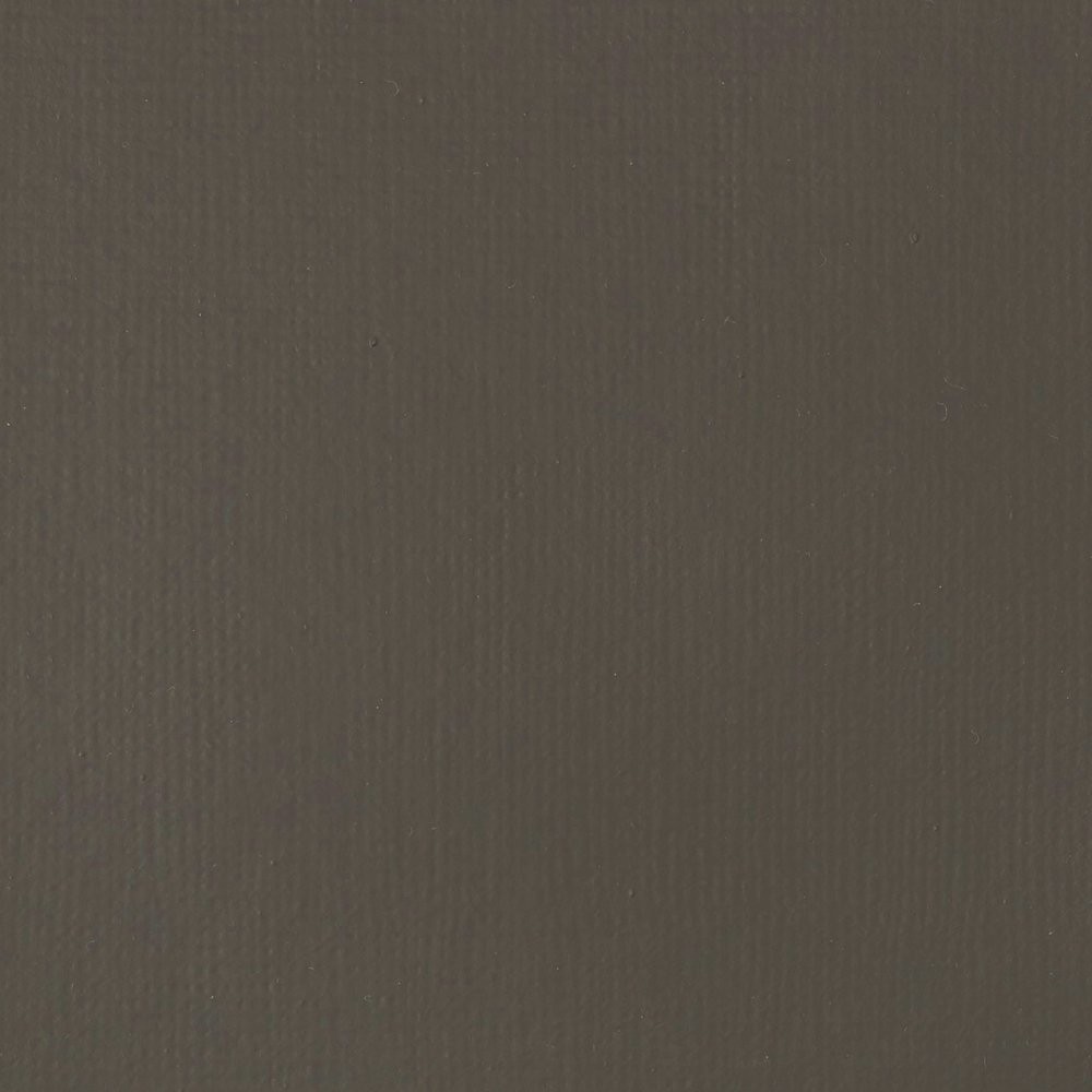 Farba akrylowa Basics Acrylic Fluid - Liquitex - 331, Raw Umber, 118 ml