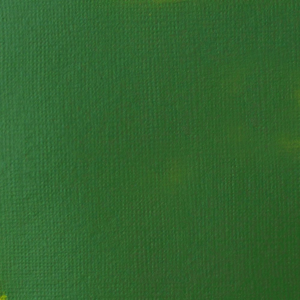 Farba akrylowa Basics Acrylic Fluid - Liquitex - 224, Hooker's Green Permanent, 118 ml