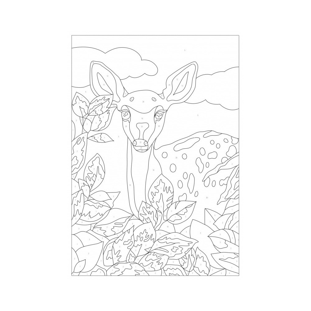 Set for painting by numbers - Koh-I-Noor - Animals