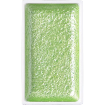 Watercolor paint pan Gansai Tambi - Kuretake - Pearl May Green