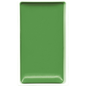 Watercolor paint pan Gansai Tambi - Kuretake - Ivy Green