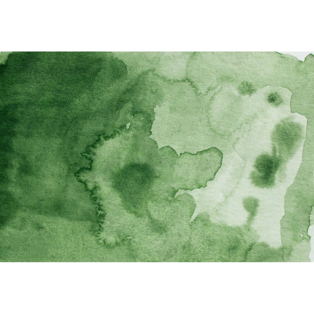 Watercolor paint pan Gansai Tambi - Kuretake - Green Gray