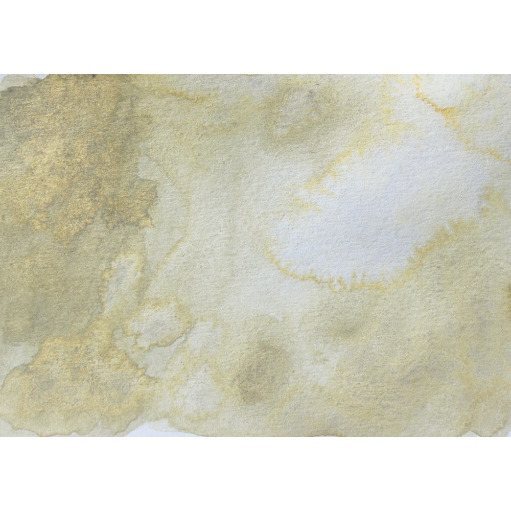 Watercolor paint pan Gansai Tambi - Kuretake - Beige Gray