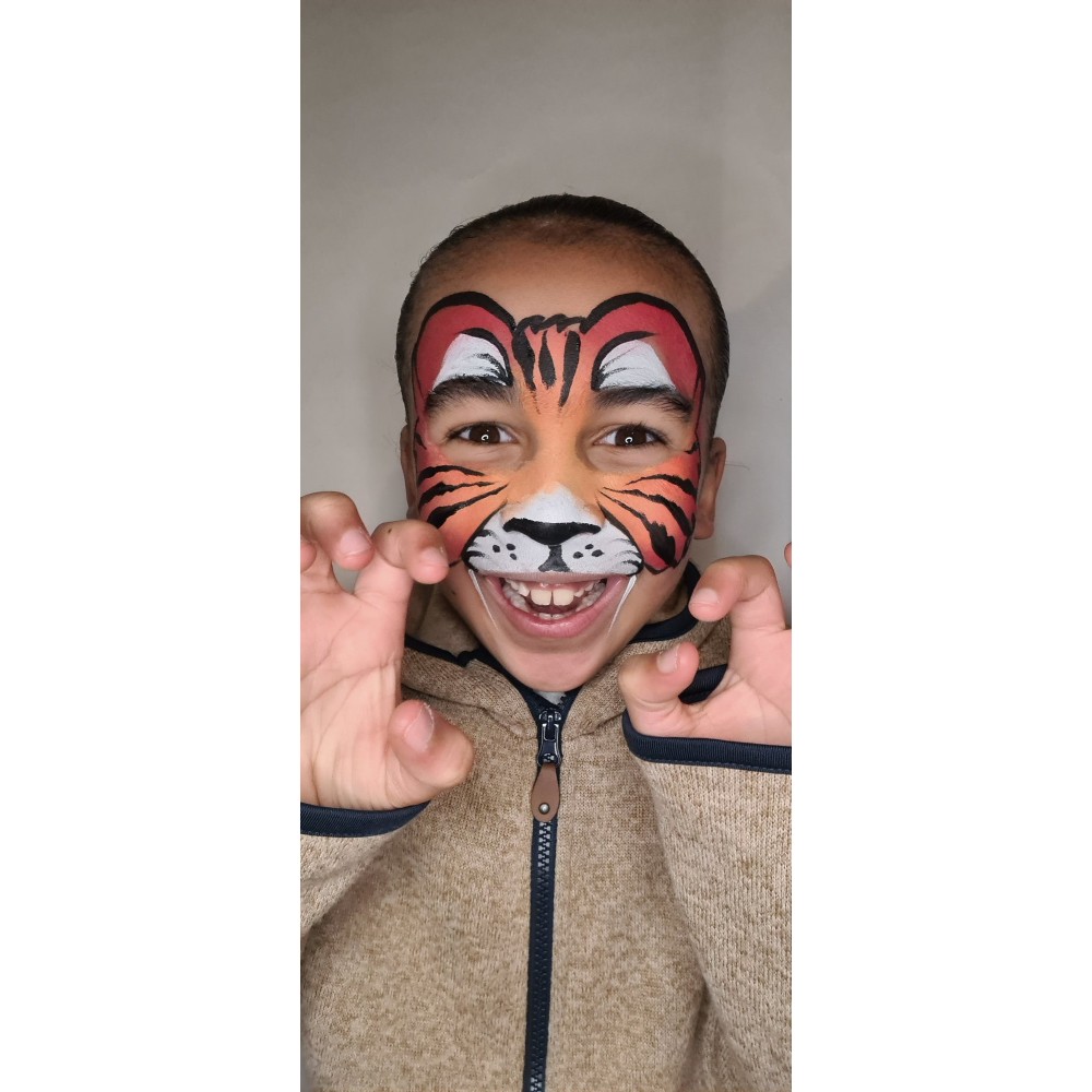 Split cake face paint kit - Snazaroo - Tiger, 3 pcs.