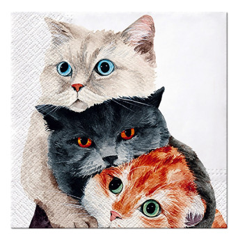 Serwetki ozdobne - Paw - Better Together, 20 szt.