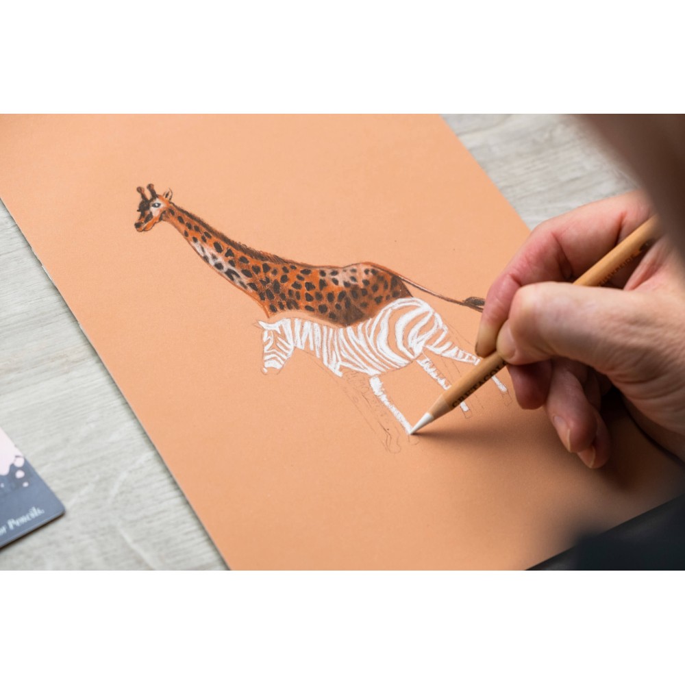 Sketching Set - Cretacolor - 7 pcs.