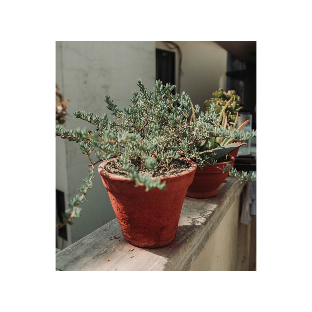 Natural pottery clay - PaperConcept - Red 5 kg