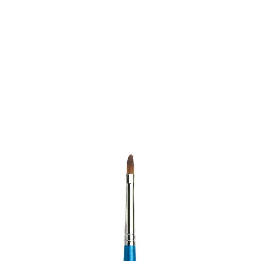 Filbert, synthetic Cotman brush, series 668 - Winsor & Newton - short handle, no. 1/8