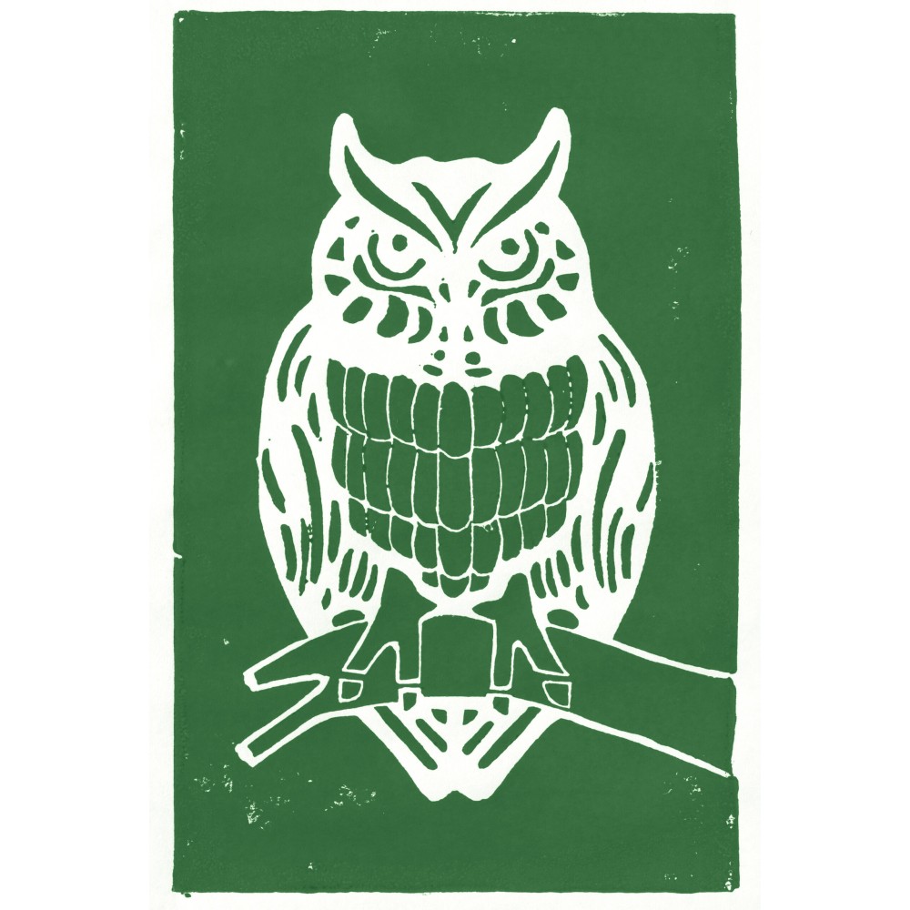 Farba Aqua Linoprint - Schmincke - 530, Chromium Oxide Green Hue, 35 ml