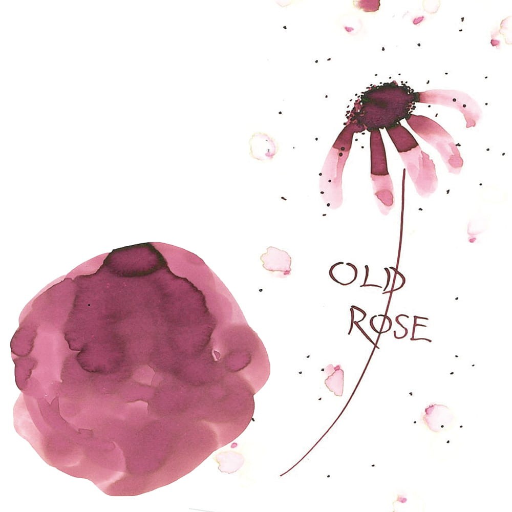 Ink-Cafe Art Noveau calligraphy ink - Kuretake - Old Rose, 21 ml