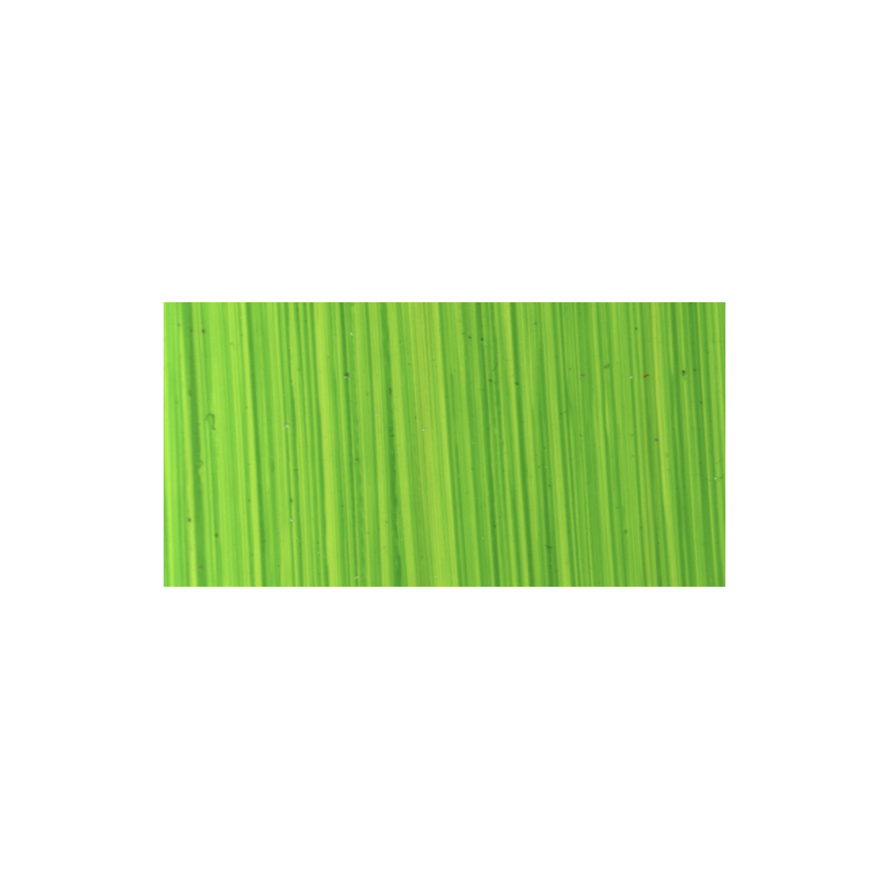 Farba olejna - Michael Harding - 116, Bright Green Lake, 40 ml