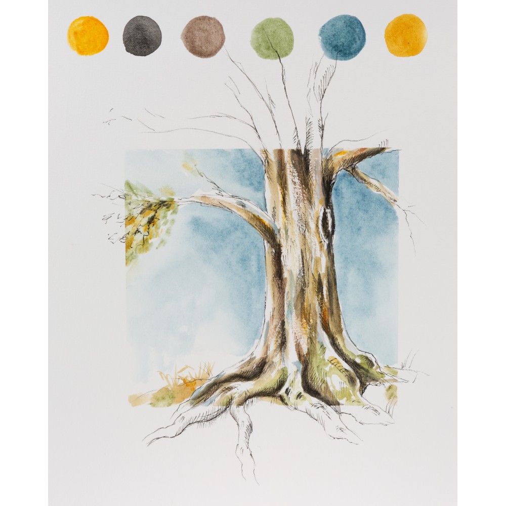 Horadam Naturals watercolor paint - Schmincke - 680, Caucasian Earth, 15 ml