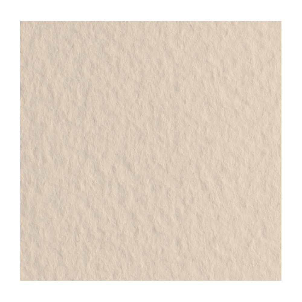 Papier Tiziano 160g - Fabriano - Avorio, kość słoniowa, B1