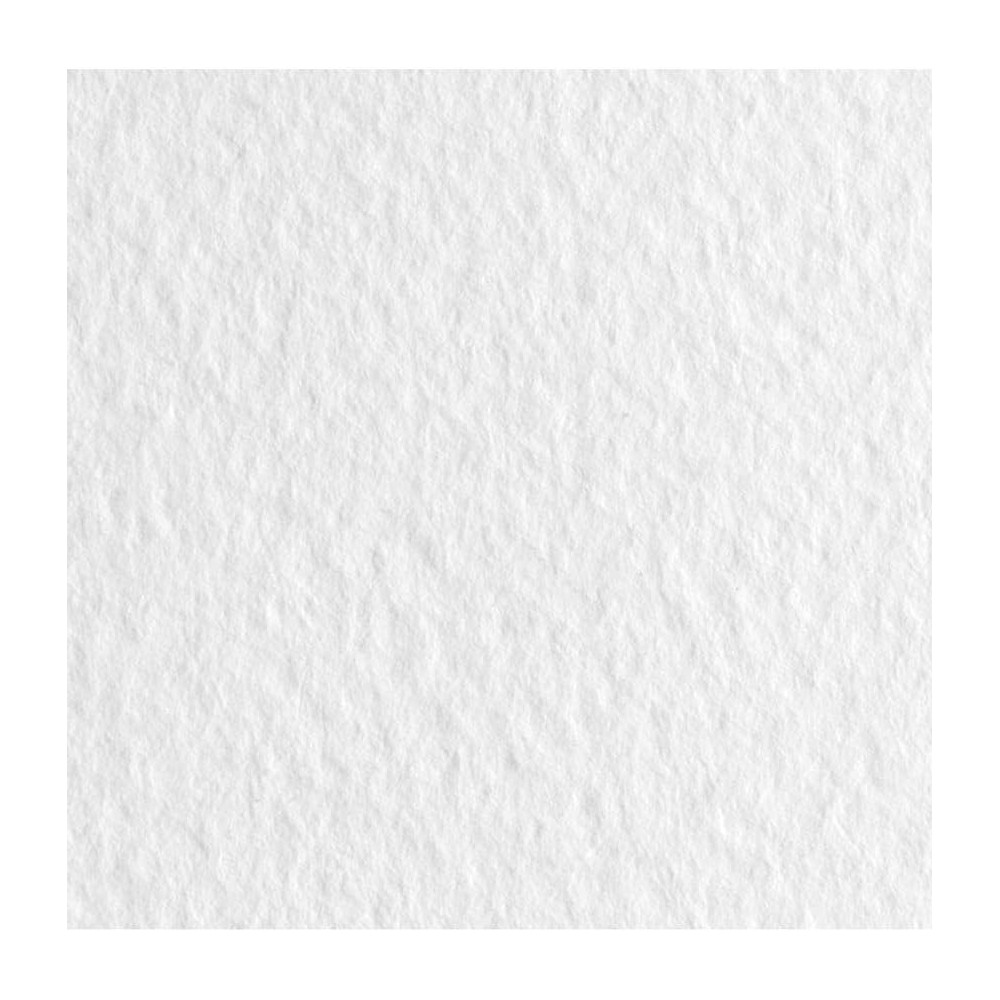 Papier Tiziano 160g - Fabriano - Bianco, biały, B1