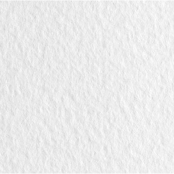 Papier Tiziano 160g - Fabriano - Bianco, biały, B1