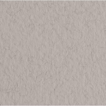 Papier Tiziano 160g - Fabriano - China, szary, B1