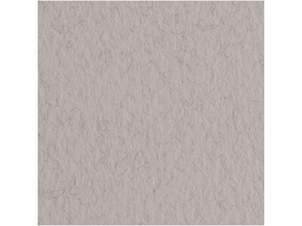 Papier Tiziano 160g - Fabriano - China, szary, B1