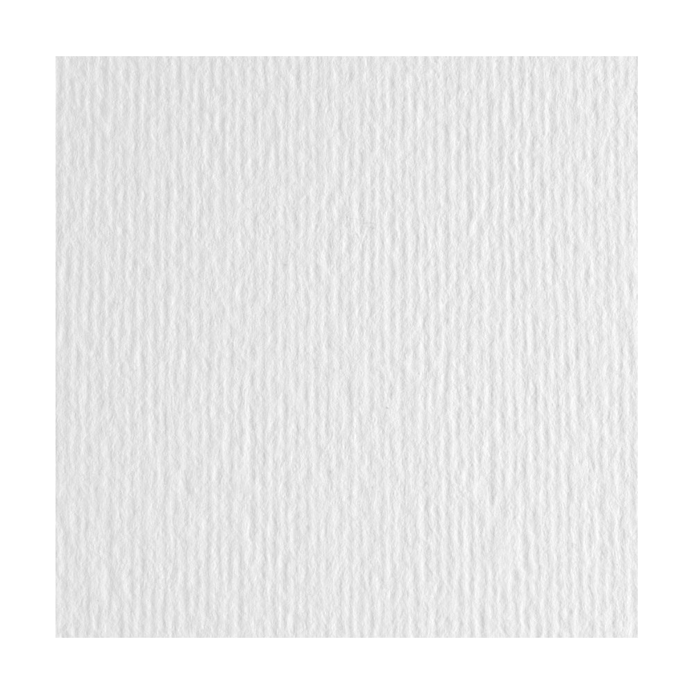 Elle Erre Paper 220g - Fabriano - Bianco, white, B1