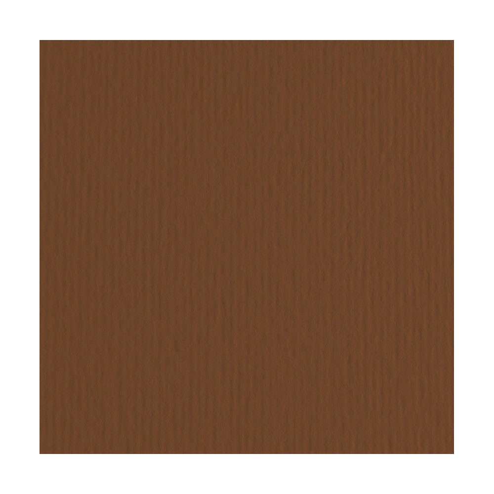 Elle Erre Paper 220g - Fabriano - Marrone, brown, B1