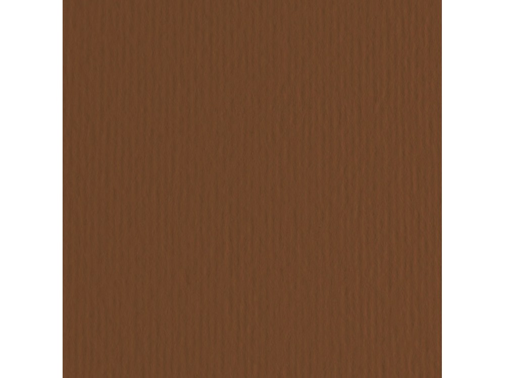 Elle Erre Paper 220g - Fabriano - Marrone, brown, B1