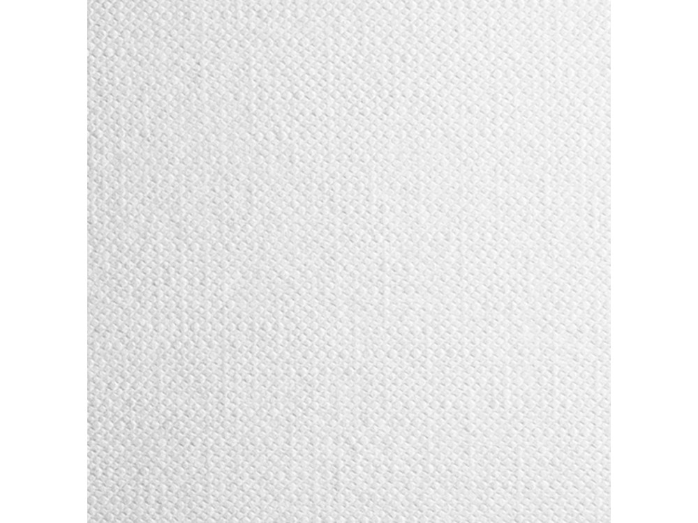 Papier Tela do oleju 300g - Fabriano - biały, 50 x 65 cm