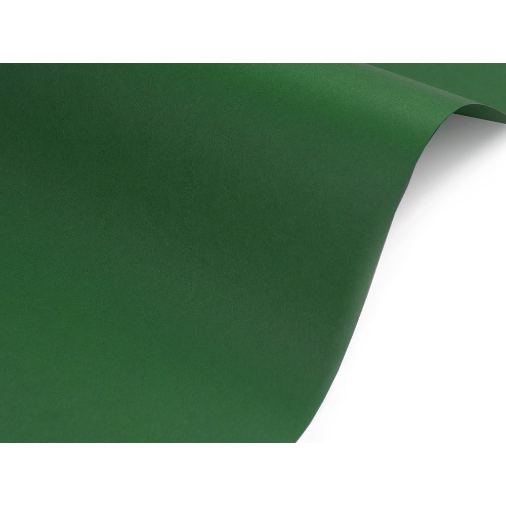 Papier Sirio Color 140g - Foglia zielony A4