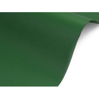 Sirio Color Paper 140g - Foglia dark green A4