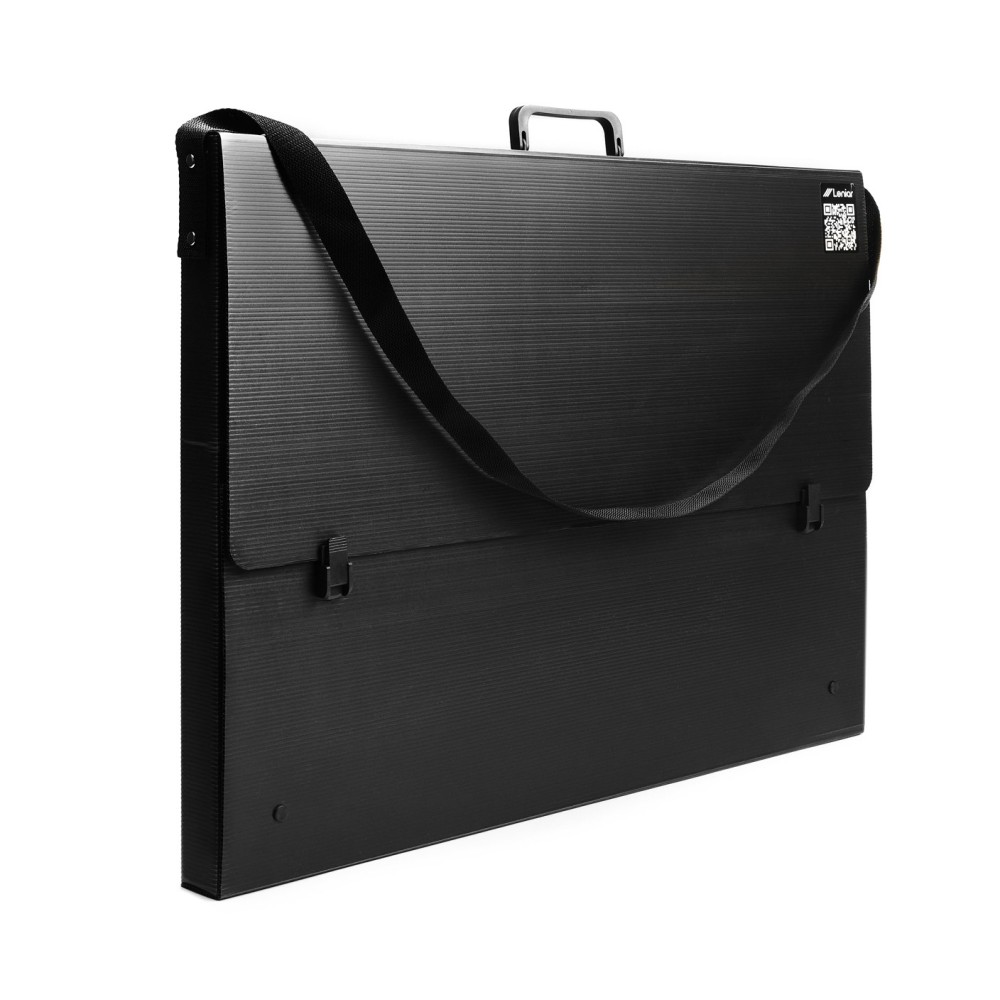 Art portfolio B1 - Leniar - black