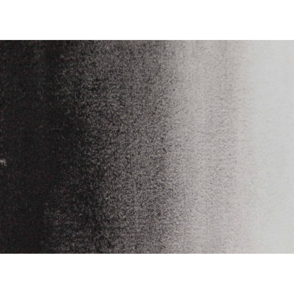 Pigment - Roman Szmal - czerń z winorośli imitacja, 75 g