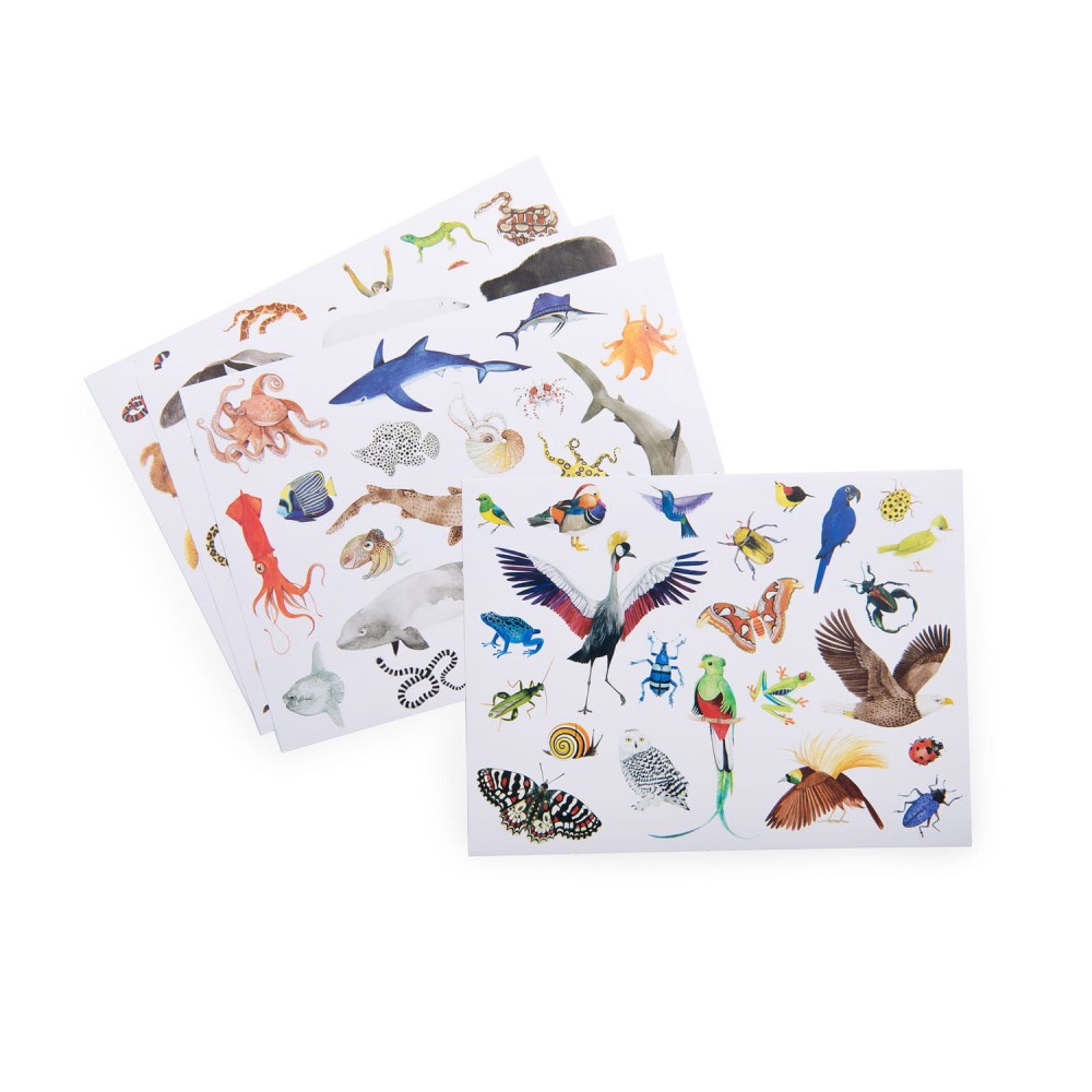 Set of stickers Les Rosalies - Moulin Roty - Animals of the world