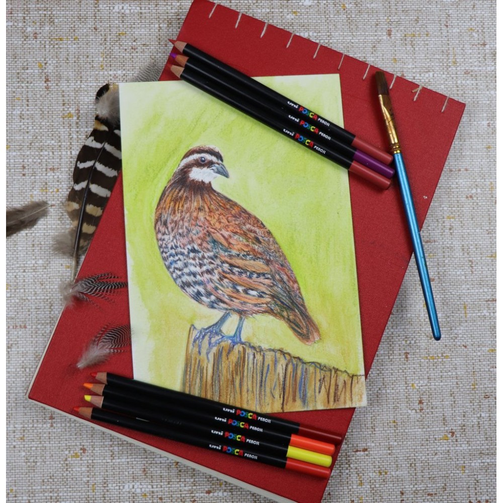 Posca colored pencil - Uni Posca - Light Grey