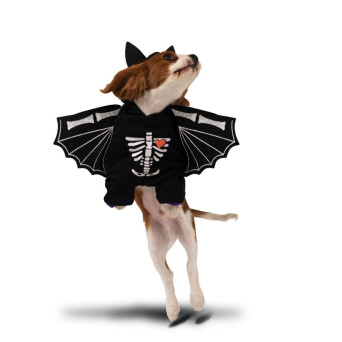 Halloween costume - black, 45 x 35 cm