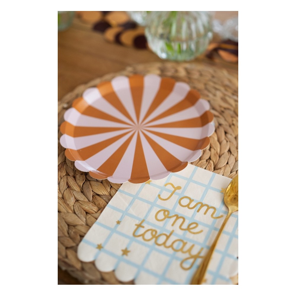 Striped paper plates - brown and pink, 21 cm, 6 pcs.