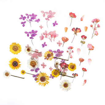 Transparent PVC stickers Flowers - DpCraft - 49 pcs.