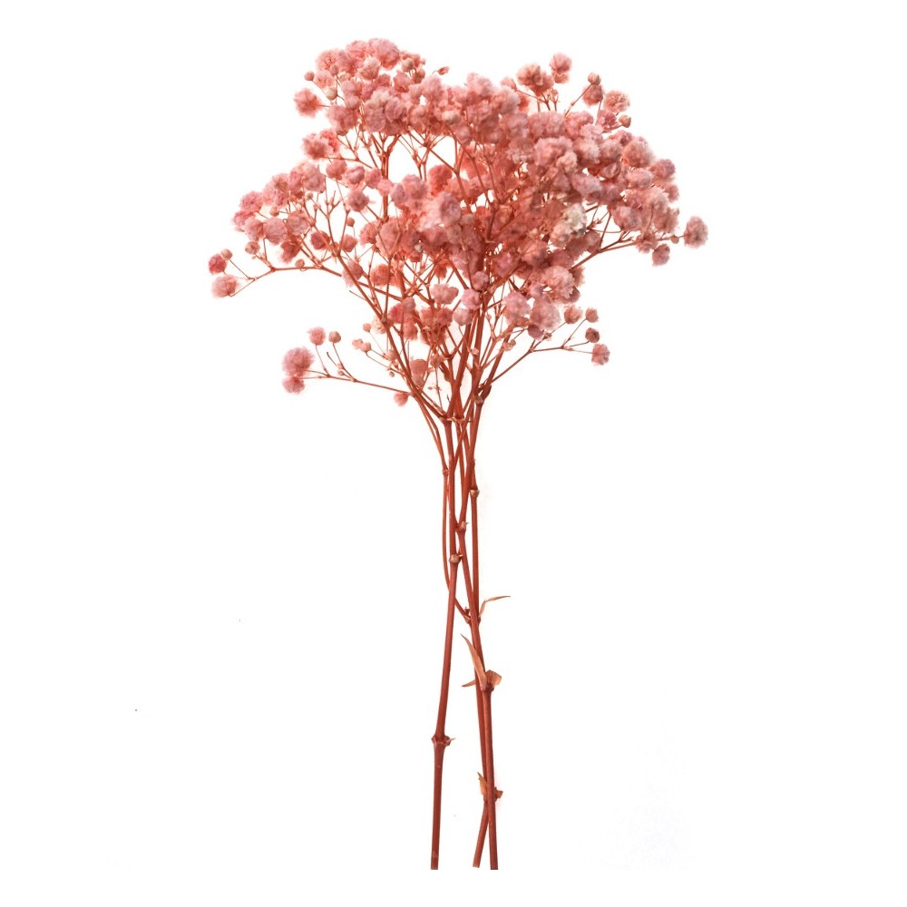 Sprigs of gypsophila - DpCraft - light pink 15-20 cm 4 pcs.