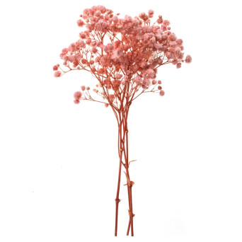 Sprigs of gypsophila - DpCraft - light pink 15-20 cm 4 pcs.