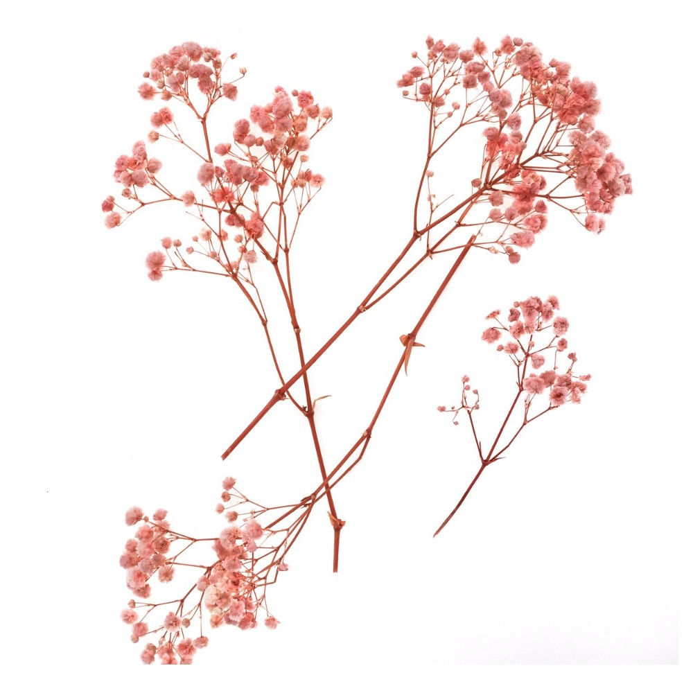 Gałązki gipsówki - DpCraft - light pink 15-20 cm 4 szt.