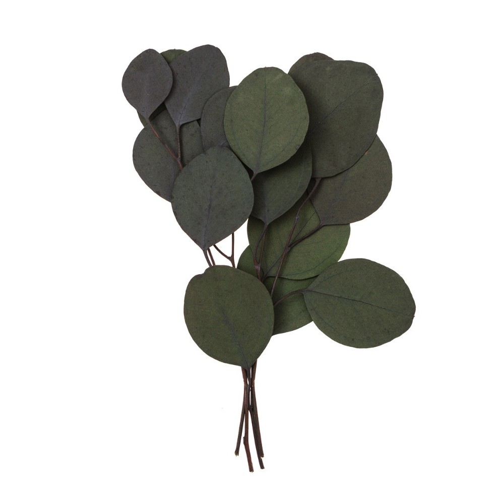 Eucalyptus Populus - DpCraft - green, 20 cm, 4 pcs.