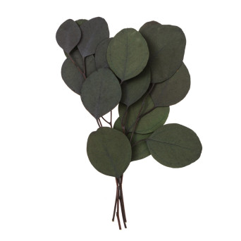 Eukaliptus Populus - DpCraft - zielony, 20 cm, 4 szt.